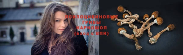 мет Верхний Тагил