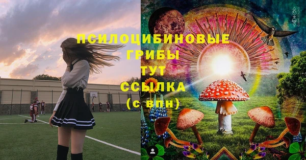 прущие крисы Верея
